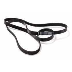 Curele de transmisie